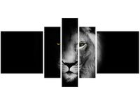 product-compare-58697772