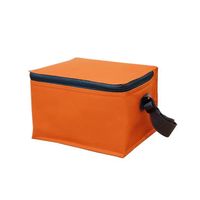 Torba termiczna PROMIS TL035 P - 3 litry