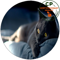 Opłatek na tort Koty