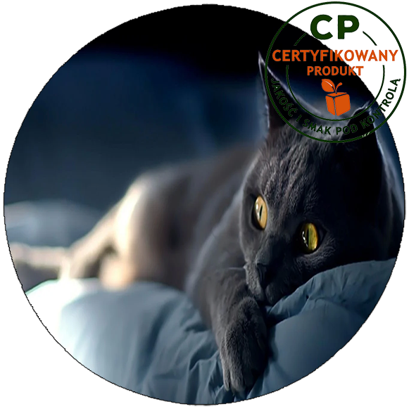 Opłatek na tort Koty zdjęcie 1