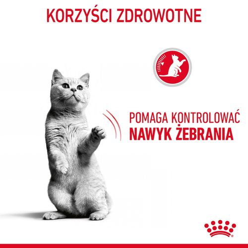 royal canin appetite control care 400g na Arena.pl