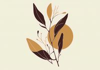 Plakat 84x59,5cm Elegancja Przerywista