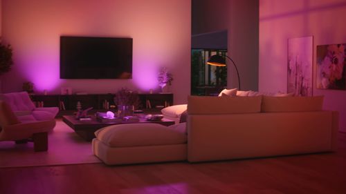 Bramka PHILIPS HUE Bridge Pro Eu na Arena.pl