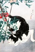 Plakat 30x45cm Cat with Tomato Plant, Takahashi Japoński Vintage do Salonu