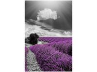 40X60CM LAWENDA OBRAZ