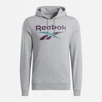 Bluza męska Reebok 100206026 IDENTITY BIG LOGO FLEECE Szara XL