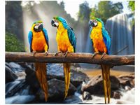 40X50CM TRZY ARY OBRAZ