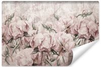 Fototapeta Do Sypialni PIWONIE Peonie Kwiaty Mural Abstrakcja 368cm x 254cm
