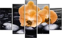 70 100CM OBRAZ 5 ELEM POMARAŃCZOWE STORCZYKI DRUK PŁÓTNO