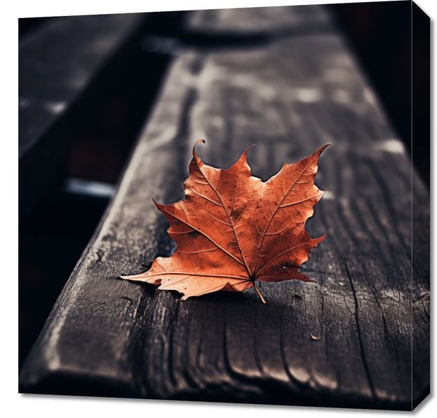 Obraz 60x60cm Pojedynczy Liść zdjęcie 1