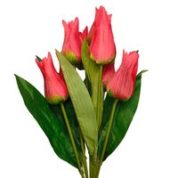 Bukiet tulipan x9 czerwony