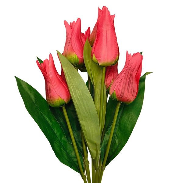 Bukiet tulipan x9 czerwony zdjęcie 1