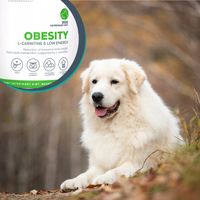 product-compare-60556739