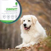 Mokra karma dla psów na odchudzanie Vet Expert Obesity Dog 6x400g