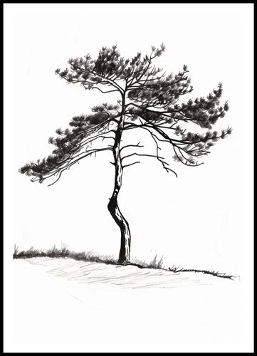 Plakat 70x100cm Samotna Sosna na Arena.pl