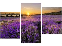 product-compare-58699514