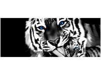 100X40CM TYGRYSY OBRAZ DREWNO