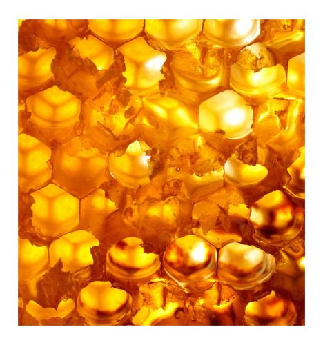 Yodeyma Dauro For Her Woda Perfumowana Dla Kobiet 100ml na Arena.pl