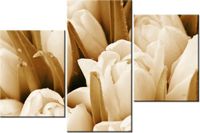 product-compare-58699364