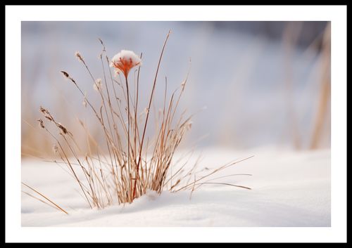Plakat 60x40cm Zima w Detalach na Arena.pl