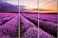 product-compare-58677071