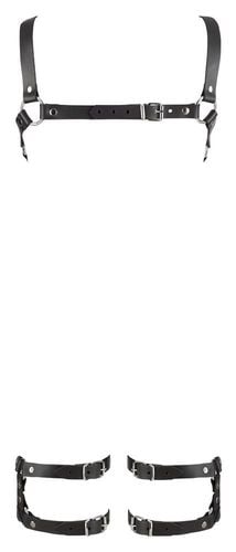 leder harness s/m na Arena.pl