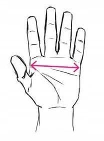 Rękawice Rękawiczki skórzane treningowe na siłownię męskie ćwiczeń Polednik na Arena.pl