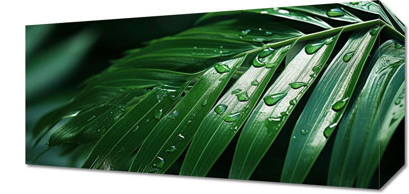 Obraz 40x20cm Żywa Łagodność zdjęcie 1