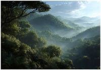 Fototapeta Na Flizelinie Do Sypialni Salonu Las 300x210