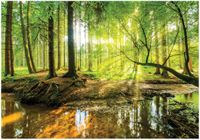 FOTOTAPETA LAS SŁOŃCE DO SYPIALNI SALONU TAPETA ŚCIENNA FLIZELINA 400x280