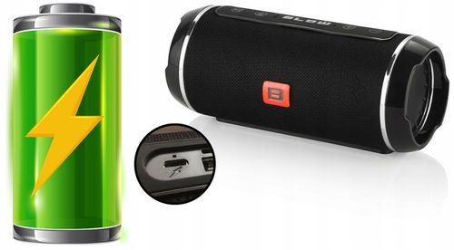 GŁOŚNIK BLUETOOTH USB SD AUX PRZENOŚNY BEZPRZEWODOWY RADIO FM WIEŻA na Arena.pl