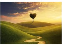 product-compare-58710223