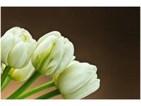 product-compare-58693841