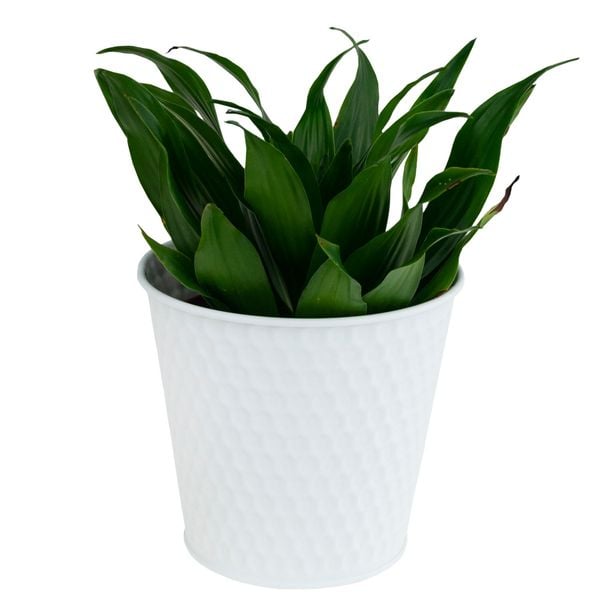 OSŁONKA NA DONICZKĘ METALOWA DONICZKA BIAŁA ozdobn zdjęcie 3