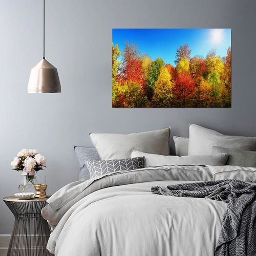 Obraz na płótnie - Canvas, Jesienne drzewa 40x30 na Arena.pl