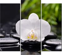 90 80CM OBRAZ T3 ELEM BIAŁA ORCHIDEA DRUK ŚCIENNY