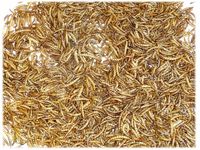 SUSZONE LARWY MĄCZNIKA MŁYNARKA pokarm dla JEŻA ŻÓŁWIA RYB JASZCZURKI 1kg