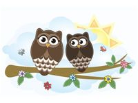 60X40CM BRĄZOWE SOWY GAŁĄZCE OBRAZ