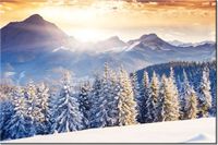 product-compare-58693934