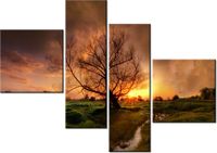 product-compare-58676661