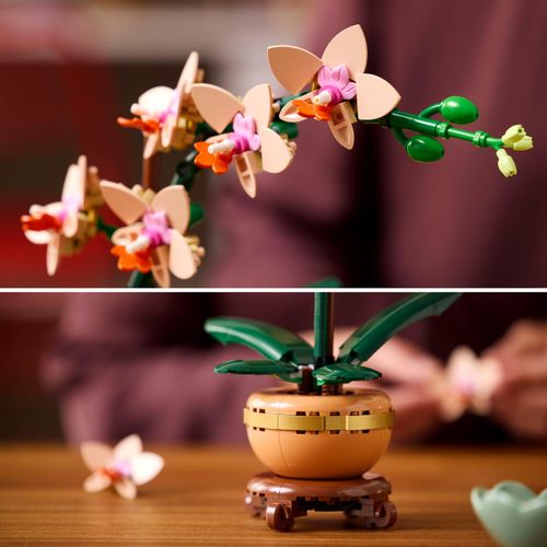 LEGO Botanicals 10343 Mała orchidea na Arena.pl