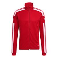 ND05_B14860-S GP6464 Bluza meska adidas Squadra 2