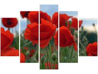 100CM 150CM OBRAZ 5 ELEM MAKI DUNCAN ŚCIENNY