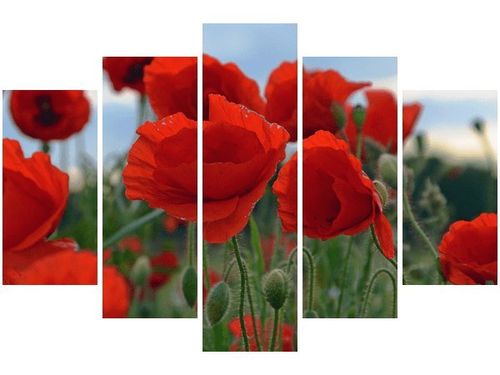 100CM 150CM OBRAZ 5 ELEM MAKI DUNCAN ŚCIENNY na Arena.pl