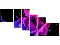 product-compare-58691324