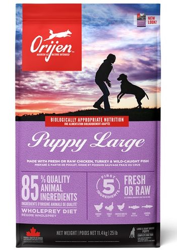 Orijen Puppy Large Breed 11,4kg na Arena.pl