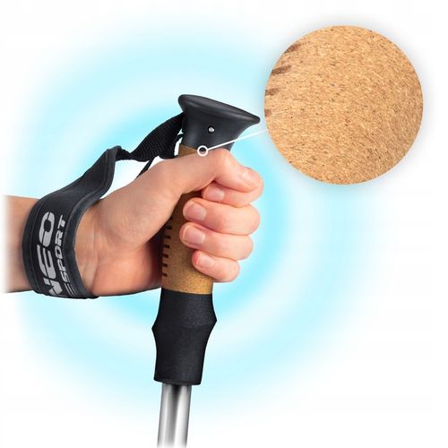 KIJKI DO NORDIC WALKING KIJE TREKKINGOWE DO CHODZENIA REGULOWANE 2szt. na Arena.pl