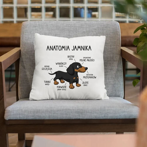 Anatomia jamnika - poduszka na prezent na Arena.pl