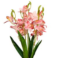 product-compare-61190439