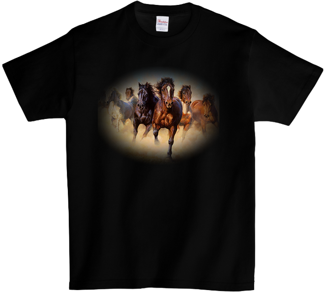 Koszulka T-shirt Konie zdjęcie 1